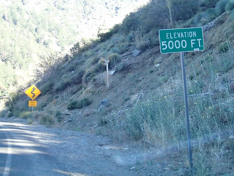 2014 Mt Baldy Cali 015.JPG - Summit Mt San Antonio (Mt Baldy) California